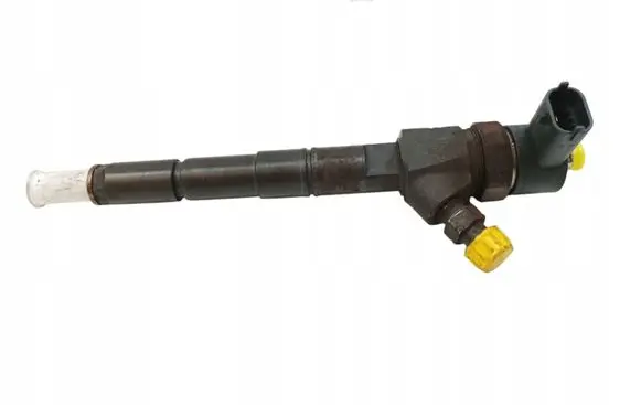 Opel Signum Fuel injector 0445110243