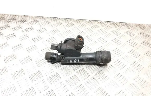 Thermostat/thermostat housing