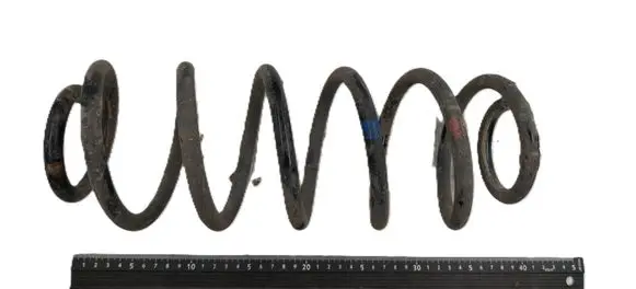 Rear coil spring