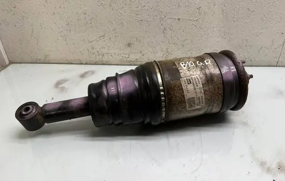 Land Rover Range Rover Sport L320 Rear shock absorber/damper RPD000308 3497422