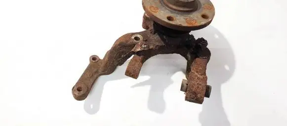 Skoda Octavia Mk2 (1Z) Rear wheel hub didzioji