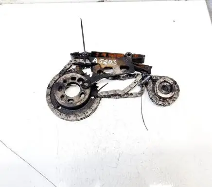 Ford Focus Timing chain (engine) 