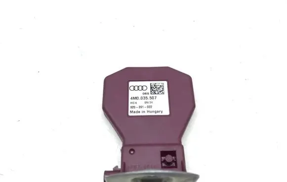 Audi A4 S4 B9 Other control units/modules 4M0035507 920391522