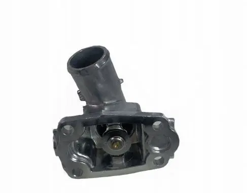 Iveco Daily 5th gen Thermostat/thermostat housing 504353905