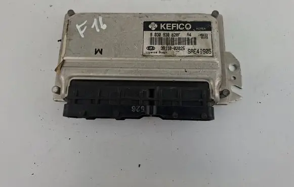 KIA Picanto Engine control unit/module 3911002025