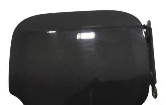 Dacia Sandero II Front door electric wing mirror