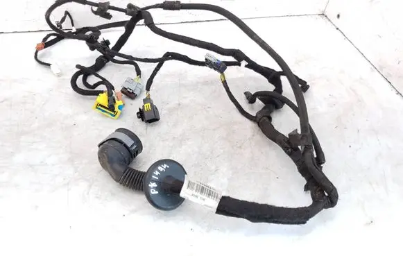 Citroen C5 Front door wiring loom 9675031080 80BM302