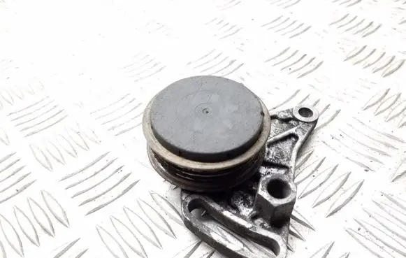 Volkswagen PASSAT B5 Belt tensioner pulley 058260511