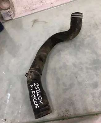 Ford Focus Engine coolant pipe/hose