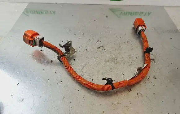 Other wiring loom