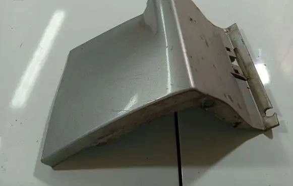 Rear/tail light trim molding