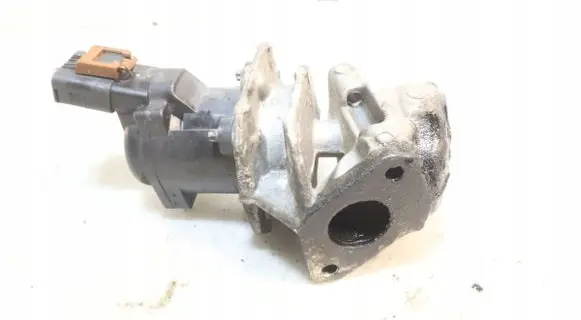 Citroen C4 I Picasso EGR valve