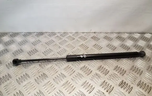 Tailgate/trunk strut/damper