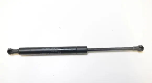 Tailgate/trunk strut/damper