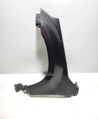Suzuki Grand Vitara II Fender