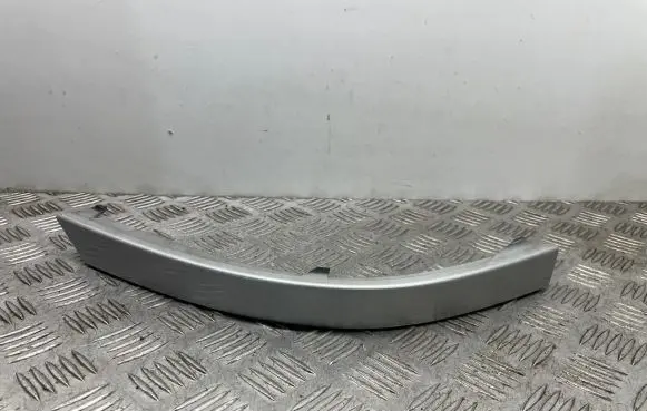 Rear/tail light trim molding