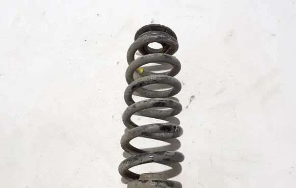 Volvo EX30 Rear coil spring 80000270