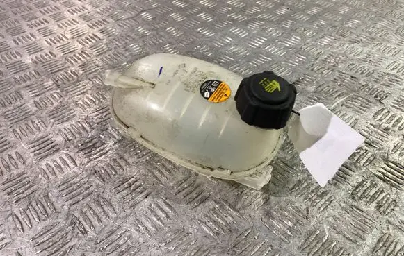 Buick Encore I Coolant expansion tank/reservoir 95380033