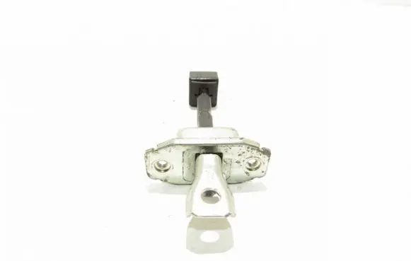 Rear door check strap stopper