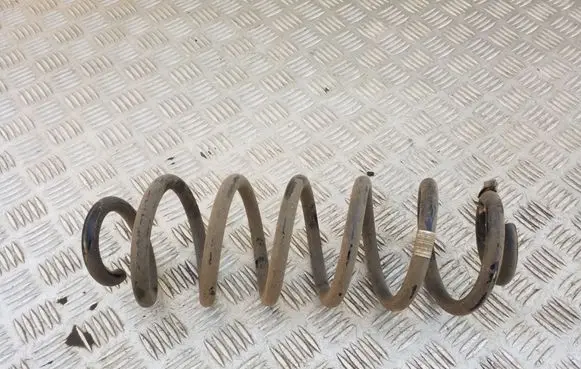 Rear coil spring