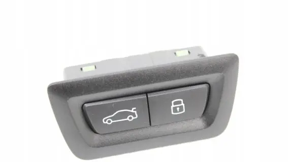 BMW X1 U11 Tailgate opening switch 5A1B301