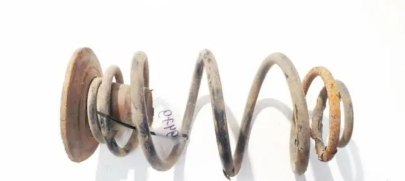 Rear coil spring