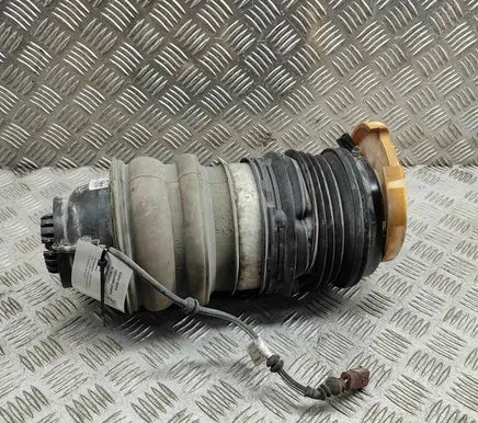 Audi E-tron GT Rear air suspension bag/shock absorber 9J1616026B