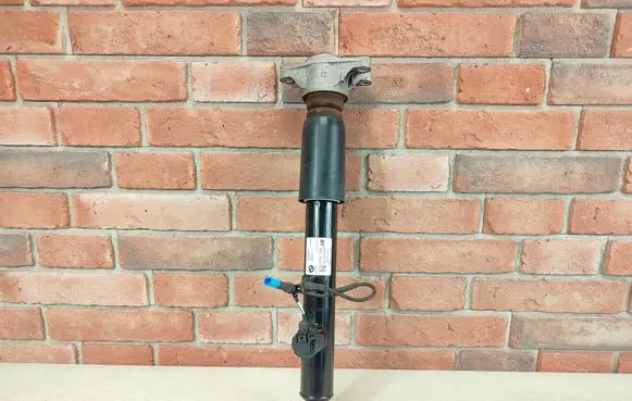 BMW 3 G20 G21 Rear shock absorber/damper 6895063