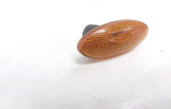 Front fender indicator light
