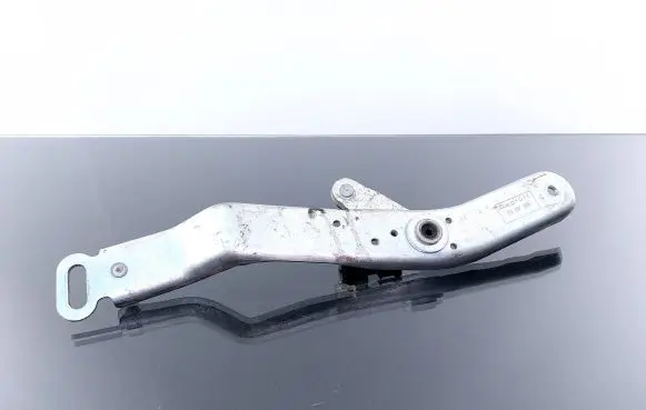 Volkswagen Phaeton Tailgate/trunk/boot hinge 3D5827582B