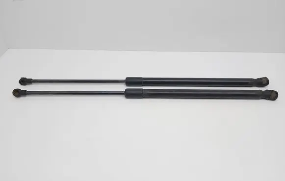 Tailgate/trunk strut/damper
