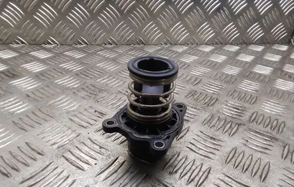 Thermostat/thermostat housing