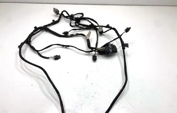 Volkswagen PASSAT B7 Parking sensor (PDC) wiring loom 3AA971095AH