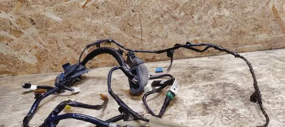 Front door wiring loom