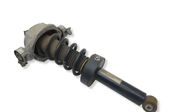 Porsche Cayenne (92A) Rear shock absorber/damper 7P5513029K
