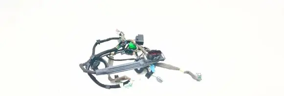 Front door wiring loom