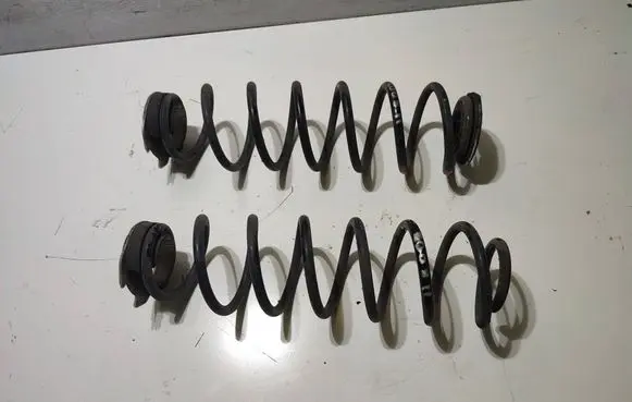 Rear coil spring