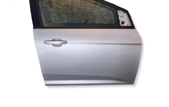 Ford Focus Front door 