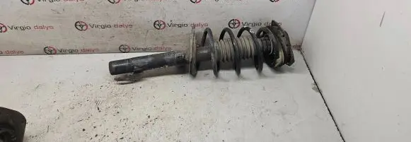 Renault Megane II Front shock absorber with coil spring