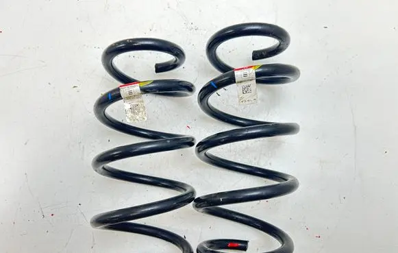 Rear coil spring