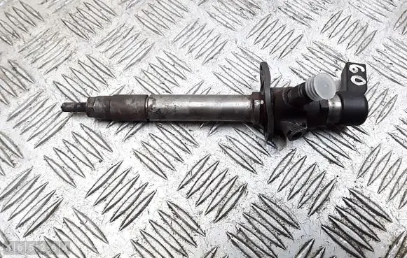 Citroen C6 Fuel injector 5U3Q9K546AA