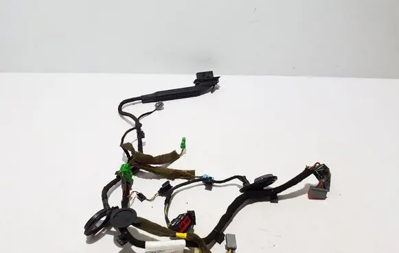 Other wiring loom