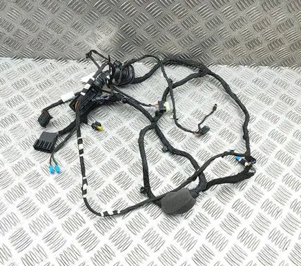BMW X5 G05 Front door wiring loom 5A5B6B2