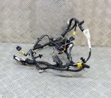 Tesla Model 3 Other wiring loom 106876700F