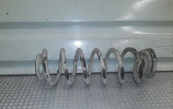 Volkswagen Golf V Rear coil spring 