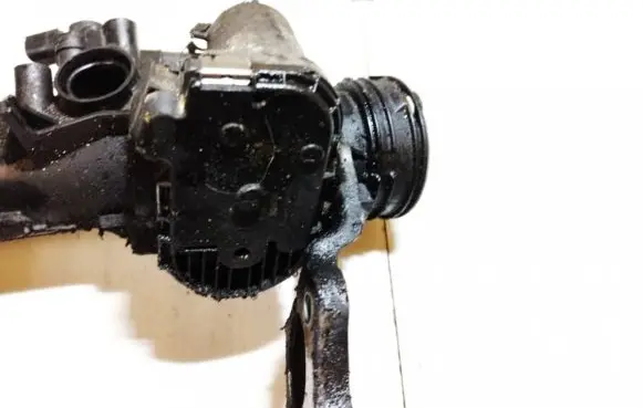 Mercedes-Benz R W251 Throttle valve 0281002894