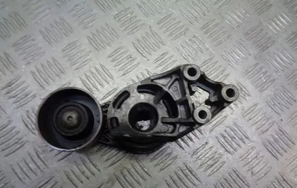 Skoda Fabia Mk2 (5J) Alternator belt tensioner pulley 045903315A