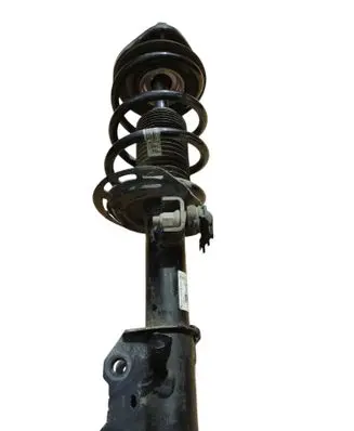 Ford Kuga III Front shock absorber/damper LX6118K001SBE