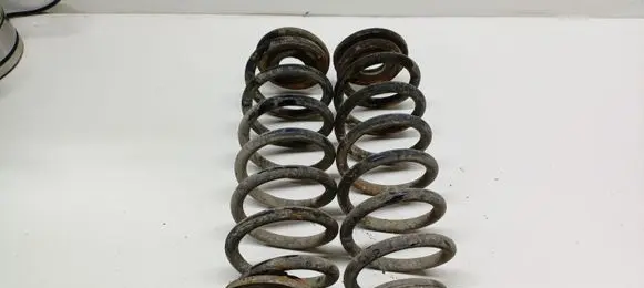 Volkswagen PASSAT B6 Rear coil spring 