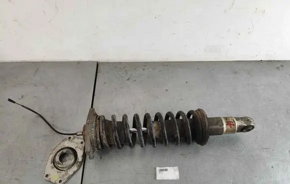 Maserati Quattroporte Rear shock absorber/damper 202960